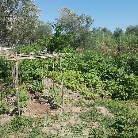 Διαμέρισμα Eleonas Farm House *