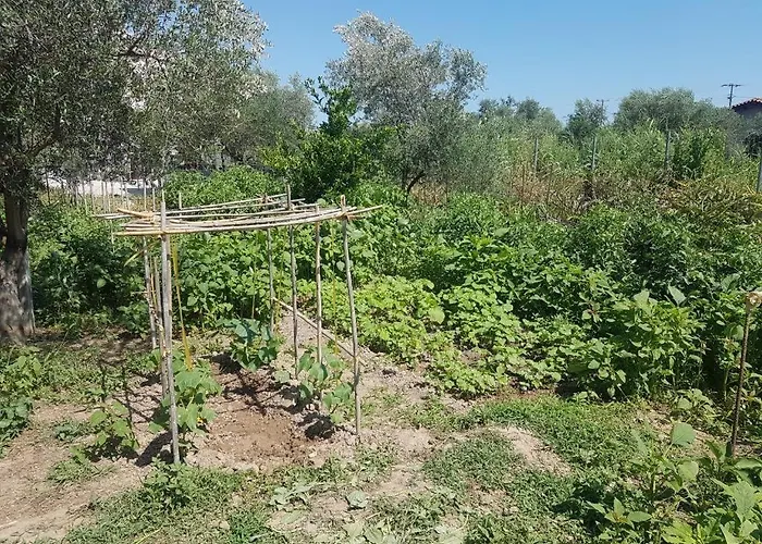 Апартаменты Eleonas Farm House *