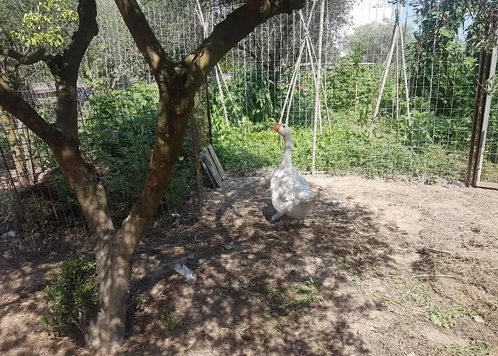 Appartement Eleonas Farm House