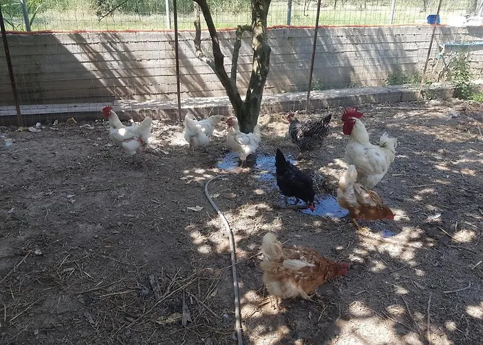 Апартаменты Eleonas Farm House Элеонас