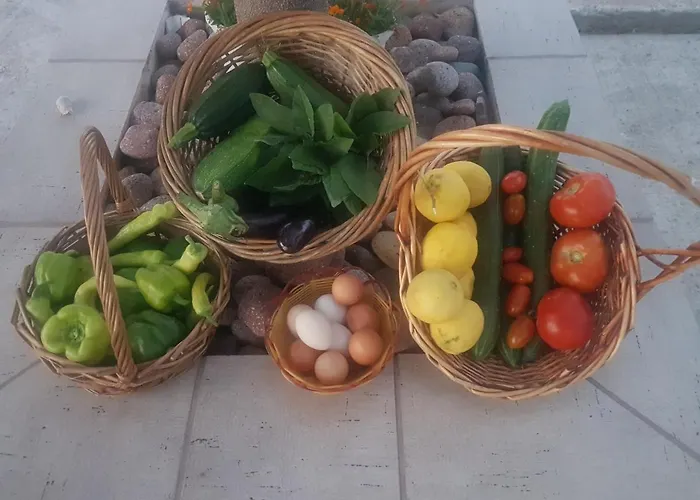 Апартаменты Eleonas Farm House